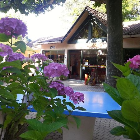 Camping Les Sources Saint-Jean-du-Gard Exterior foto