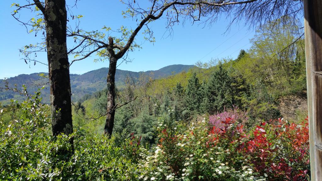 Camping Les Sources Saint-Jean-du-Gard Exterior foto